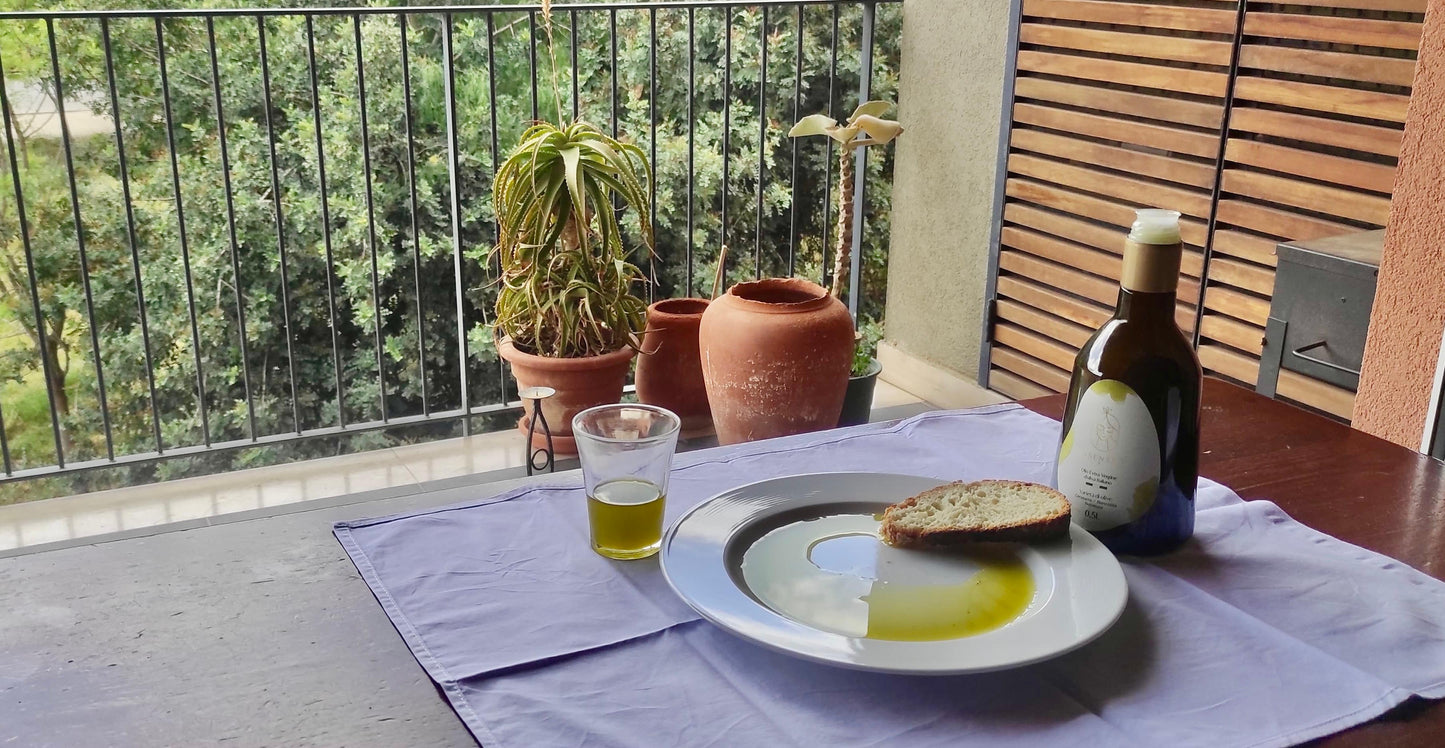 Balestrate: Olive Grove Tour and Tasting of Olive Oil, Sicilian Wines, and Balsamic Vinegar